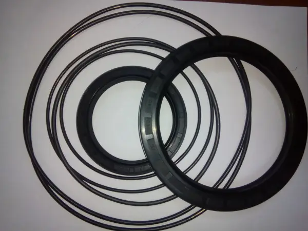 Комплект уплотнений и сальников ГТР CDM 833 