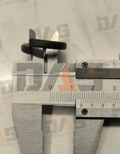 Шайба